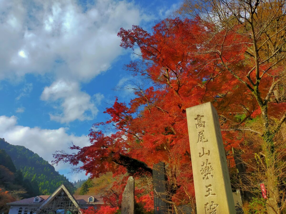 高尾山の紅葉