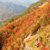 御在所岳の紅葉