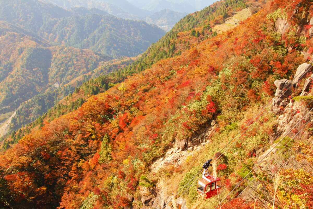 御在所岳の紅葉