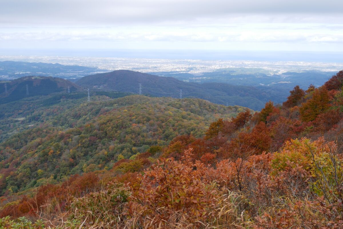 医王山の紅葉