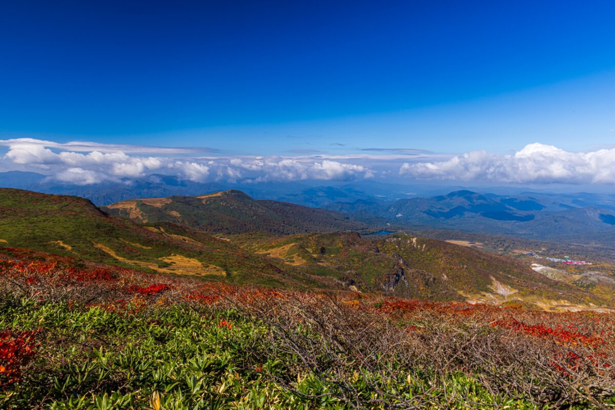 栗駒山の紅葉